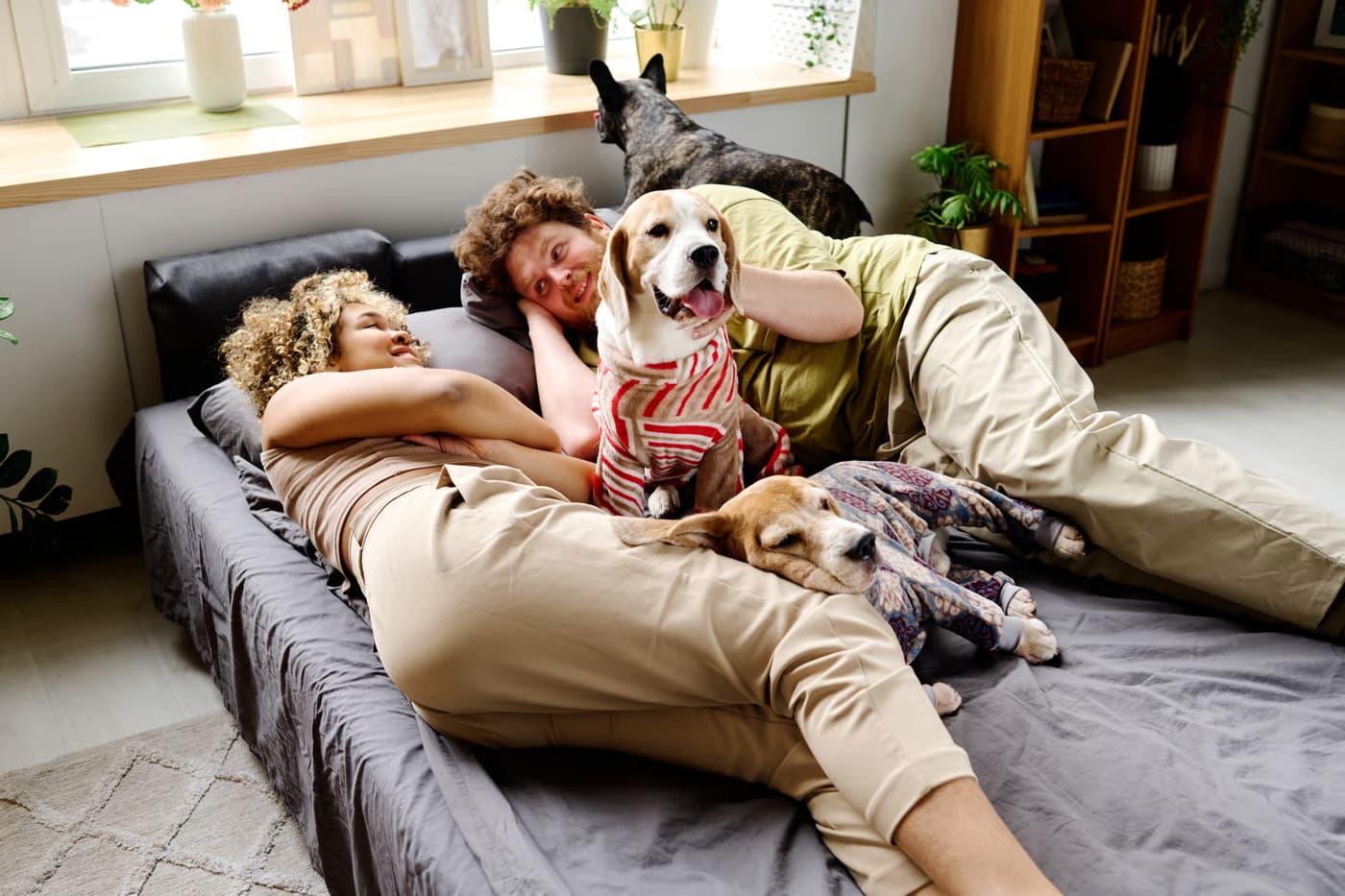 Vices rédhibitoires chez le chien : maladies, délais et recours après l’achat